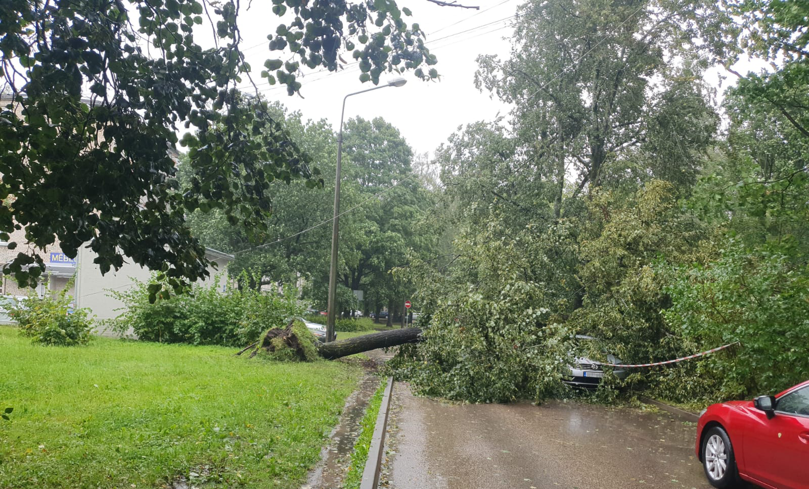 Vētrā nogāzts koks nokritis pāri mājas piebraucamajam ceļam