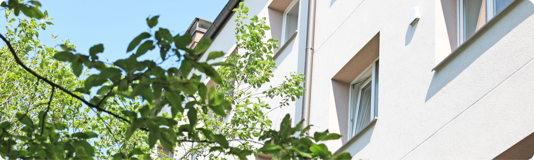 Vecmīlgrāvja ielas 17 k-3 renovētās ēkas fasādes tuvplāns. Kreisajā pusē koka zars