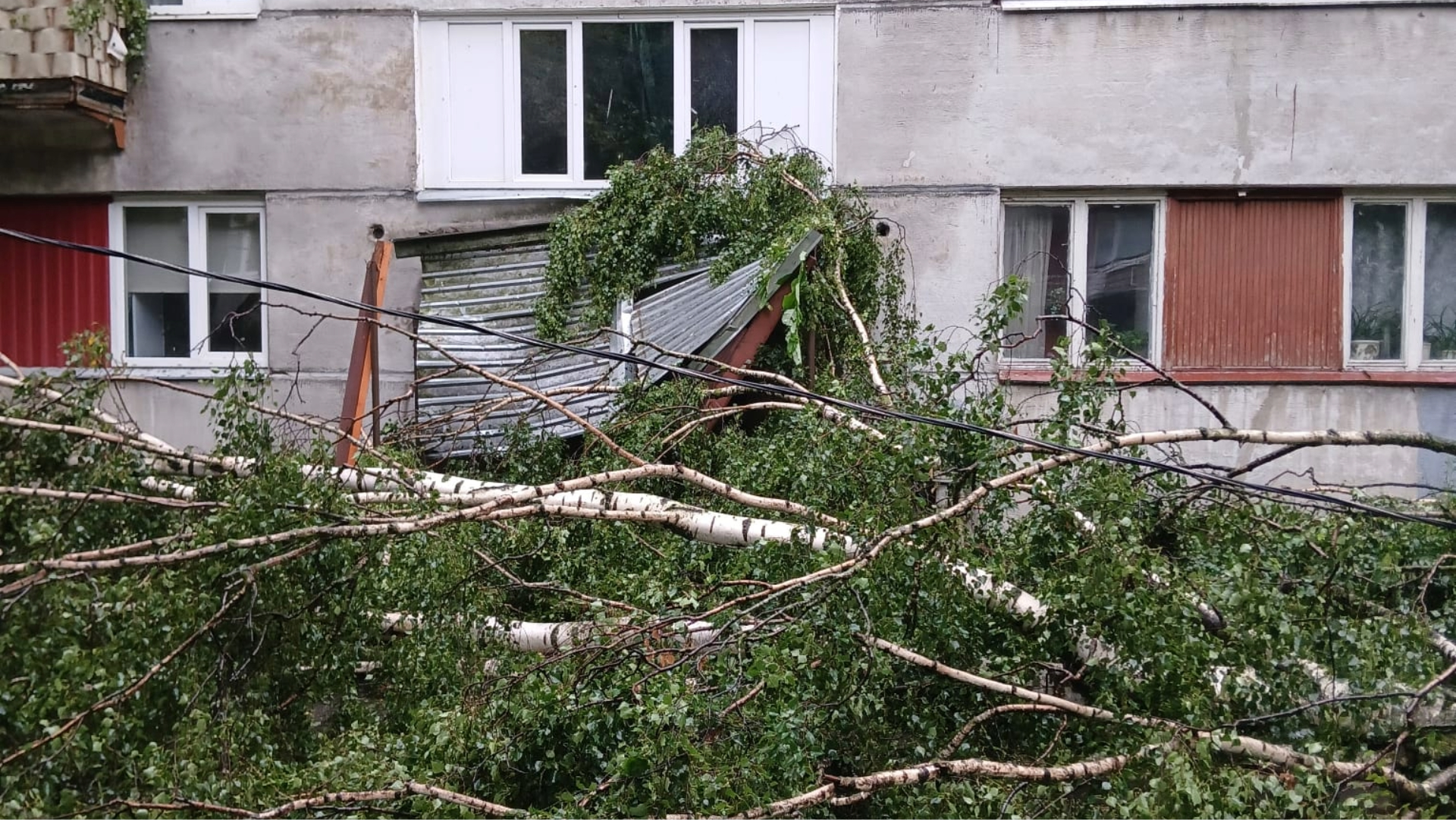 Norit darbs pie vētras seku novēršanas